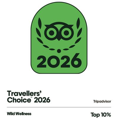 TripAdvisor Award Tiny